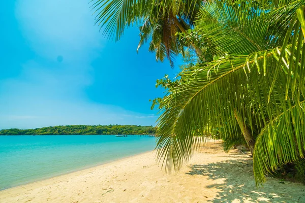Bella Spiaggia Tropicale Mare Con Palma Cocco Paradiso Isola Viaggi — Foto Stock