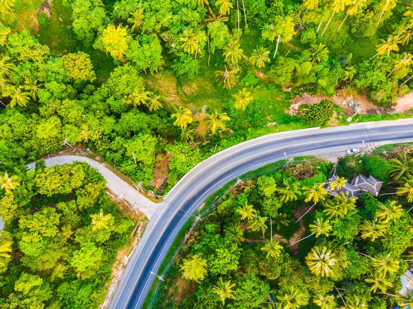 Aerial view road side in the forest with many tree for travel and vacation