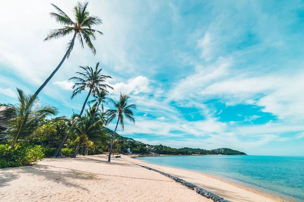 Vacker Tropisk Strand Hav Och Sand Med Coconut Palm Tree — Stockfoto
