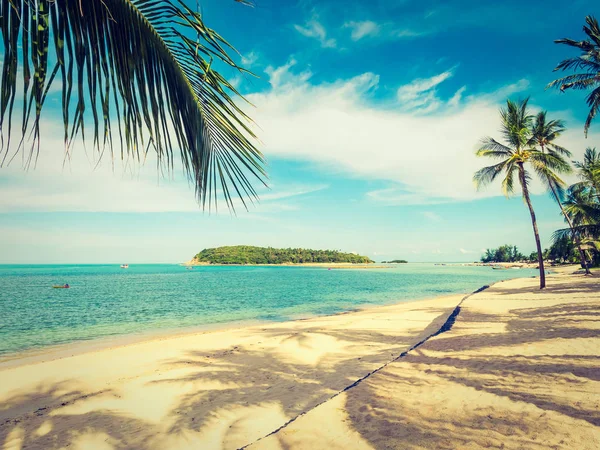 코코넛 나무와 바다와 — 스톡 사진