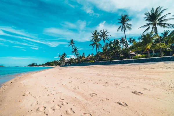 Schöner Tropischer Strand Meer Und Sand Mit Kokospalmen Blauen Himmel — Stockfoto