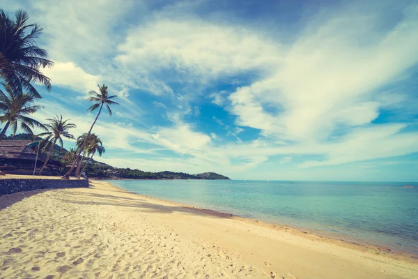 Beautiful Tropical Beach Sea Sand Coconut Palm Tree Blue Sky — Stock Photo, Image