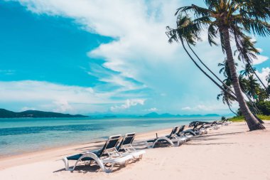 Plaj ve deniz tatil ve seyahat için Hindistan cevizi hurma ağacı ile üzerinde şemsiye ve sandalye ile güzel açık görünüm