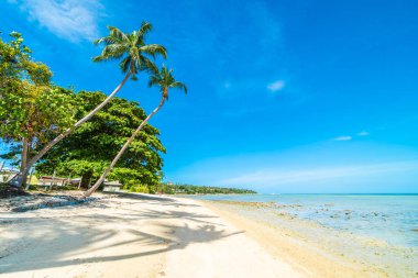 Güzel tropikal plaj deniz ve kum mavi gökyüzü ve beyaz bulut seyahat ve tatil için Hindistan cevizi hurma ağacı ile