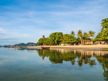 Güzel tropikal plaj ve deniz ile Hindistan cevizi hurma ağacının seyahat ve tatil