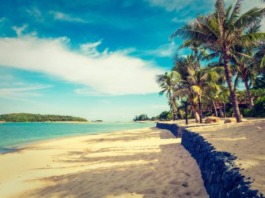 Güzel tropikal plaj ve deniz ile Hindistan cevizi hurma ağacının seyahat ve tatil