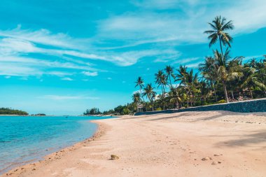 Güzel tropikal plaj deniz ve kum mavi gökyüzü ve beyaz bulut seyahat ve tatil için Hindistan cevizi hurma ağacı ile