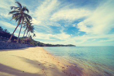 Güzel tropikal plaj deniz ve kum mavi gökyüzü ve beyaz bulut seyahat ve tatil için Hindistan cevizi hurma ağacı ile