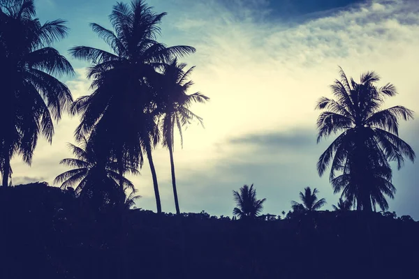 Hermosa Vista Aire Libre Con Naturaleza Tropical Silueta Cocotero Cielo —  Fotos de Stock