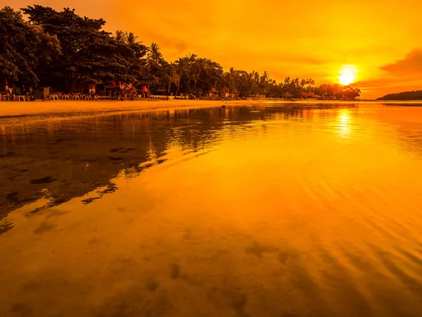 Belle Plage Tropicale Mer Océan Avec Cocotier Lever Soleil Pour — Photo