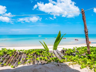 Güzel tropikal plaj deniz ve okyanus seyahat etmek ve kopya alanı ile tatil için
