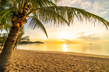 Günbatımı zaman tropik cennet ada plaj ve deniz ile Hindistan cevizi palmiye ağacı üzerinde tatil ve tatil için
