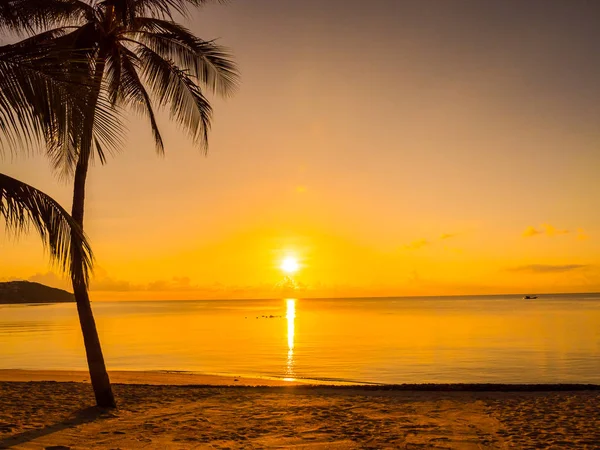 Schöner Tropischer Strand Meer Und Ozean Mit Kokospalmen Bei Sonnenaufgang — Stockfoto