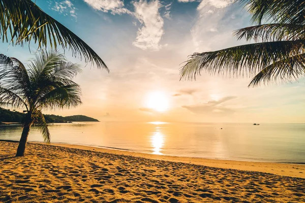 Günbatımı zaman tropik cennet ada plaj ve deniz ile Hindistan cevizi palmiye ağacı üzerinde tatil ve tatil için