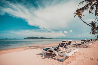 Güzel tropikal plaj ve Hindistan cevizi hurma ağacı ve Cennet Adası sandalyede denize sıfır