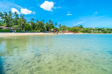 Güzel tropikal plaj deniz ve kum mavi gökyüzü ve beyaz bulut seyahat ve tatil için Hindistan cevizi hurma ağacı ile