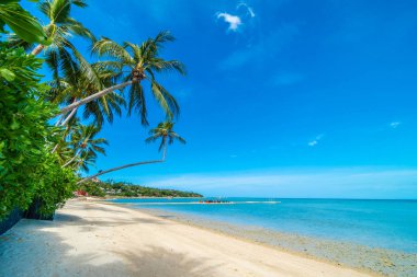 Güzel tropikal plaj deniz ve kum mavi gökyüzü ve beyaz bulut seyahat ve tatil için Hindistan cevizi hurma ağacı ile
