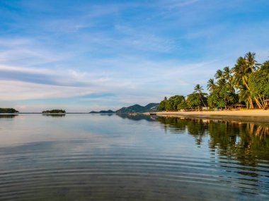 Güzel tropikal plaj ve deniz ile Hindistan cevizi hurma ağacının seyahat ve tatil