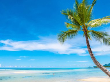 Güzel tropikal plaj ve deniz ile Hindistan cevizi hurma ağacının seyahat ve tatil