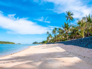 Güzel tropikal plaj ve deniz ile Hindistan cevizi hurma ağacının seyahat ve tatil
