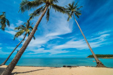 Güzel tropikal plaj deniz ve kum mavi gökyüzü ve beyaz bulut seyahat ve tatil için Hindistan cevizi hurma ağacı ile