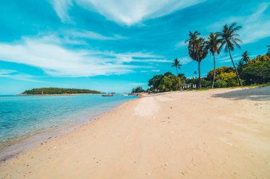 Güzel tropikal plaj deniz ve kum mavi gökyüzü ve beyaz bulut seyahat ve tatil için Hindistan cevizi hurma ağacı ile