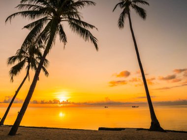 Güzel tropikal plaj deniz ve okyanus ile Hindistan cevizi hurma ağacı gündoğumu zaman seyahat ve tatil için
