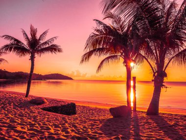 Güzel tropikal plaj deniz ve okyanus ile Hindistan cevizi hurma ağacı gündoğumu zaman seyahat ve tatil için