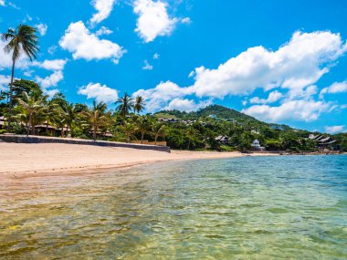 Güzel tropikal plaj ve deniz ile Hindistan cevizi hurma ağacının seyahat ve tatil