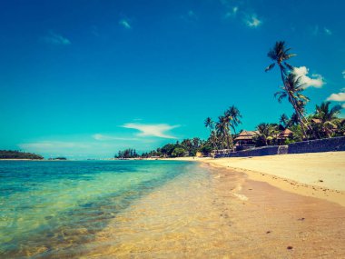 Güzel tropikal plaj ve deniz ile Hindistan cevizi hurma ağacının seyahat ve tatil