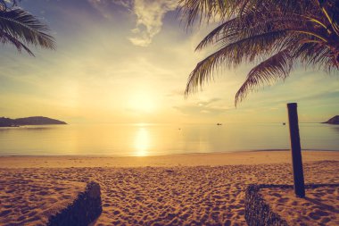 Günbatımı zaman tropik cennet ada plaj ve deniz ile Hindistan cevizi palmiye ağacı üzerinde tatil ve tatil için
