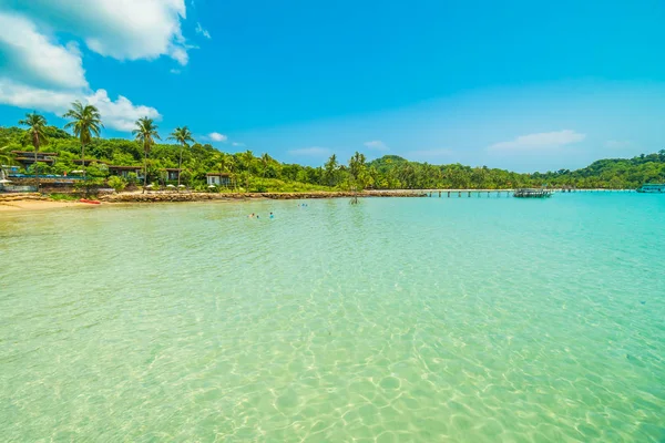 Kaunis Trooppinen Ranta Meri Kookospalmulla Paratiisisaarella Matkailua Lomaa Varten — kuvapankkivalokuva
