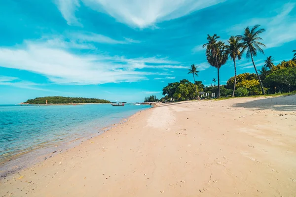Beautiful Tropical Beach Sea Sand Coconut Palm Tree Blue Sky — Stock Photo, Image