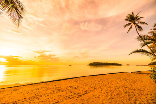 At sunset time on the tropical paradise island beach and sea with coconut palm tree for holiday and vacation