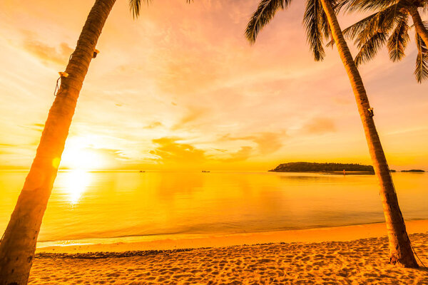 At sunset time on the tropical paradise island beach and sea with coconut palm tree for holiday and vacation