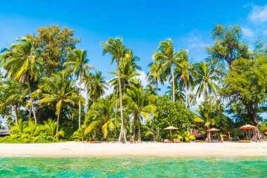 Güzel tropikal plaj ve Hindistan cevizi hurma ağacı Cennet Adası - tatil tatil kavramı ile