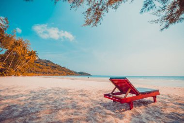 Güzel doğa tropikal plaj ve sandalye ve Hindistan cevizi hurma ağacı için cennet adasında denize sıfır tatil seyahat