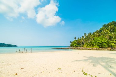 Güzel tropikal plaj ve deniz paradise Island Seyahat ve tatil için Hindistan cevizi hurma ağacı