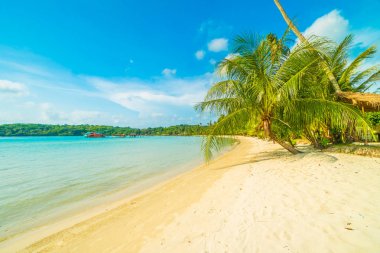 Güzel tropikal plaj ve deniz paradise Island Seyahat ve tatil için Hindistan cevizi hurma ağacı