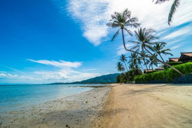 Güzel tropikal plaj deniz ve kum mavi gökyüzü ve beyaz bulut seyahat ve tatil için Hindistan cevizi hurma ağacı ile