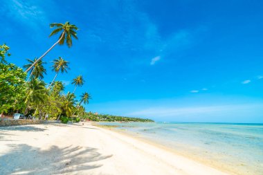 Güzel tropikal plaj deniz ve kum mavi gökyüzü ve beyaz bulut seyahat ve tatil için Hindistan cevizi hurma ağacı ile