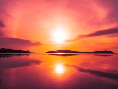 Güzel tropikal plaj deniz ve okyanus ile Hindistan cevizi hurma ağacı gündoğumu zaman seyahat ve tatil için