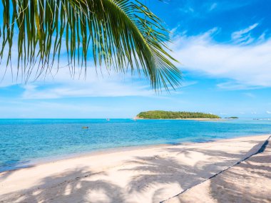 Güzel tropikal plaj ve deniz ile Hindistan cevizi hurma ağacının seyahat ve tatil