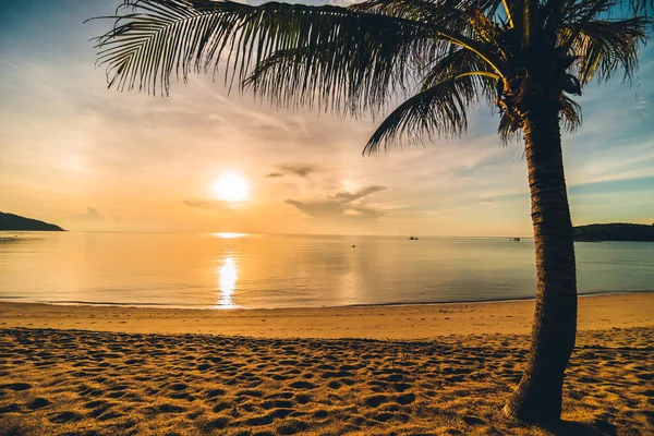 Atardecer Playa Tropical Isla Paradisíaca Mar Con Palmera Coco Para — Foto de Stock