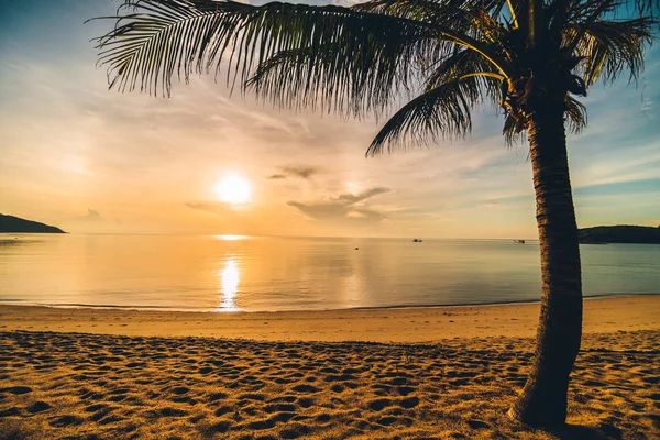 Ved Solnedgang Tid Den Tropiske Paradis Strand Hav Med Kokos - Stock-foto