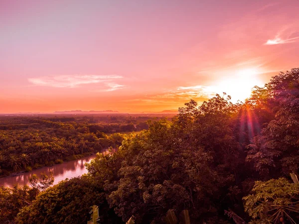 Vackra Flygfoto Med Grön Skogslandskap Twilight Och Solnedgången Tid För — Stockfoto