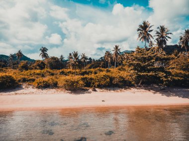 Güzel tropikal plaj ve deniz hurma ve koh samui Adası seyahat ve tatil için diğer ağacında havadan görünümü