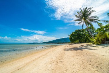 Güzel tropikal plaj deniz ve kum mavi gökyüzü ve beyaz bulut seyahat ve tatil için Hindistan cevizi hurma ağacı ile