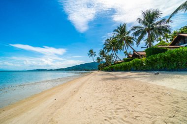 Güzel tropikal plaj deniz ve kum mavi gökyüzü ve beyaz bulut seyahat ve tatil için Hindistan cevizi hurma ağacı ile