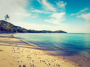 Güzel tropikal plaj ve deniz ile Hindistan cevizi hurma ağacının seyahat ve tatil